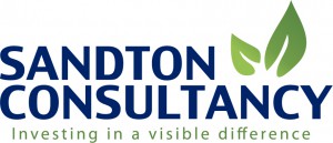 sandton consultancy